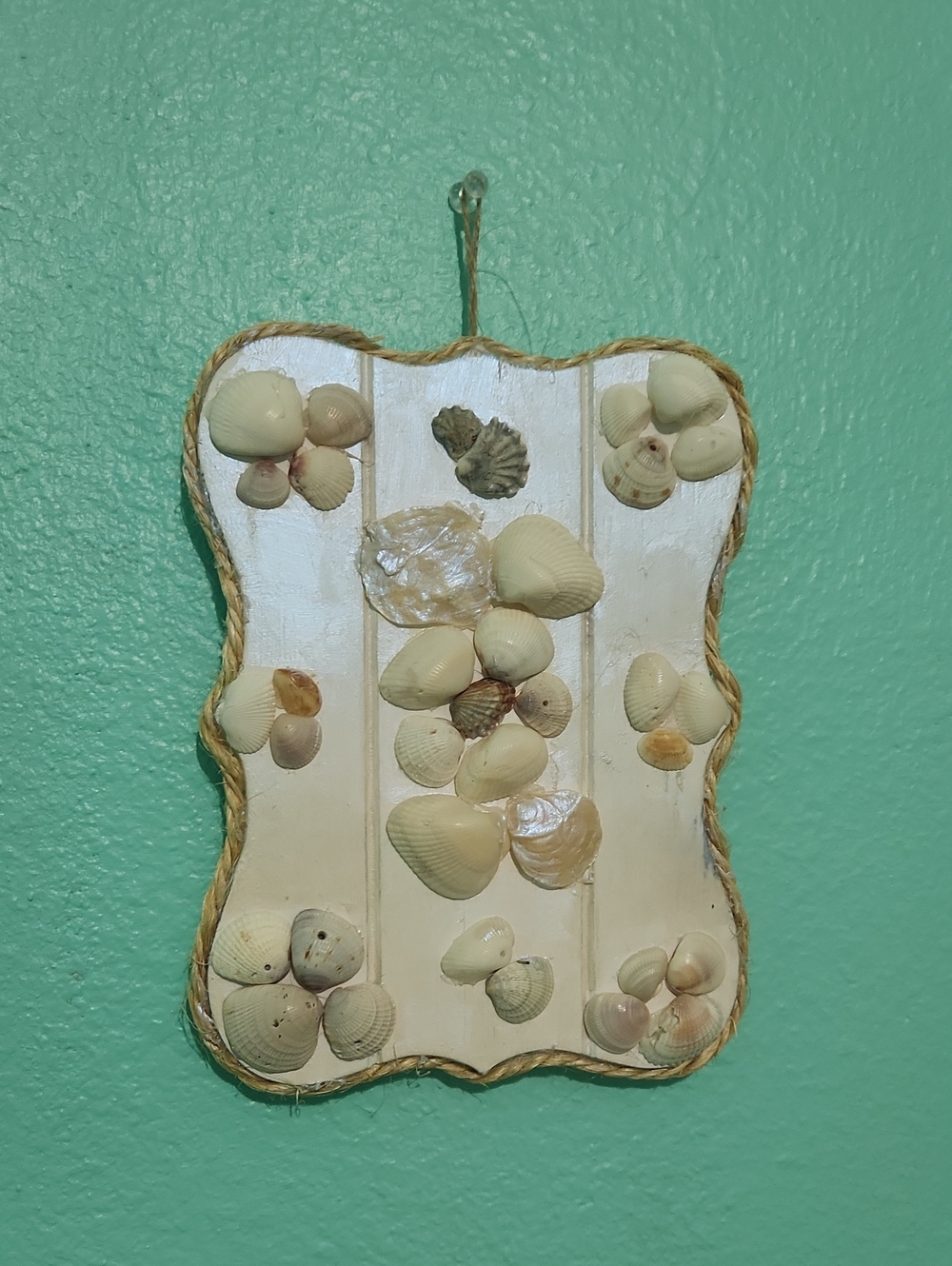 Seashell Wall Plaque - White & Natural Shells